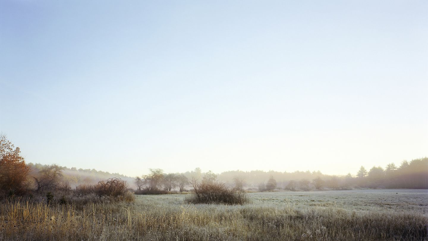 Barbara Bosworth, "The Meadow," 2003, from the series "The Meadow."