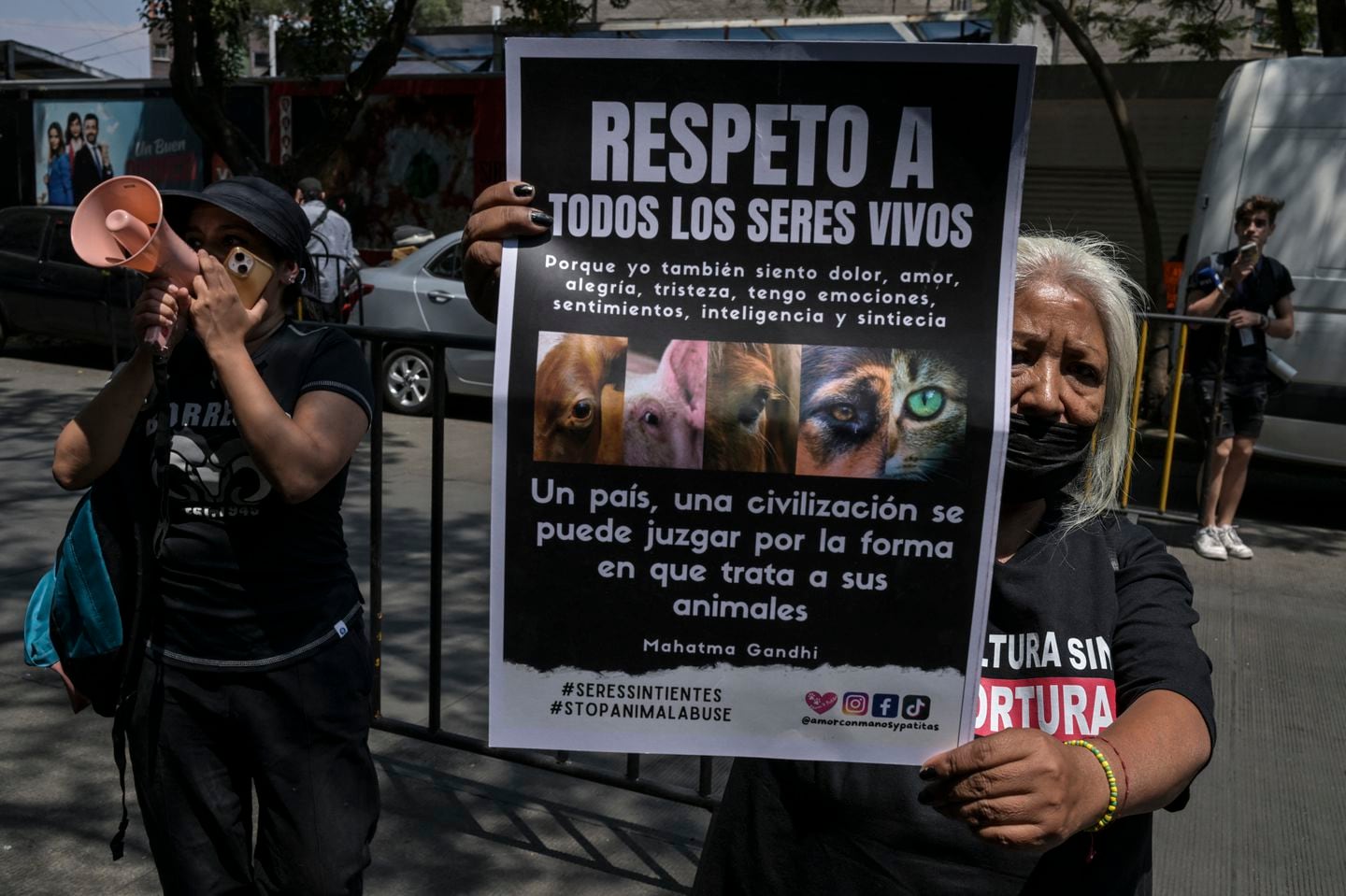 In April, activists in Mexico City demanded the passage of a law that grants equal rights to animals.