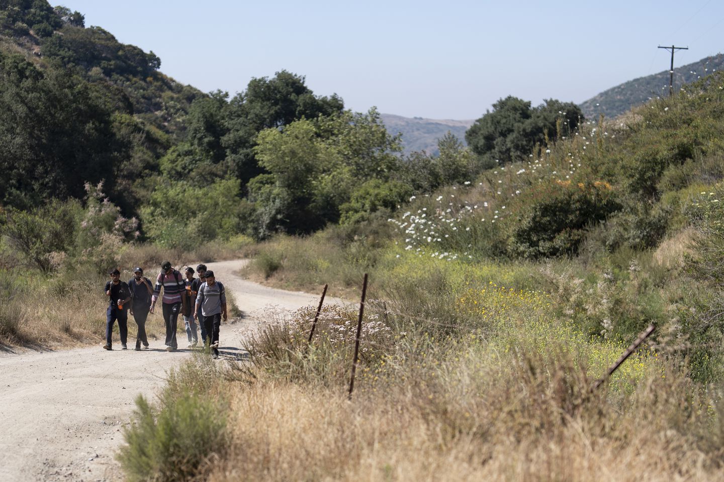 Migrants seeking asylum from India walk towards a staging area before being transported and processed, Wednesday, June 5, 2024, near Dulzura, Calif.