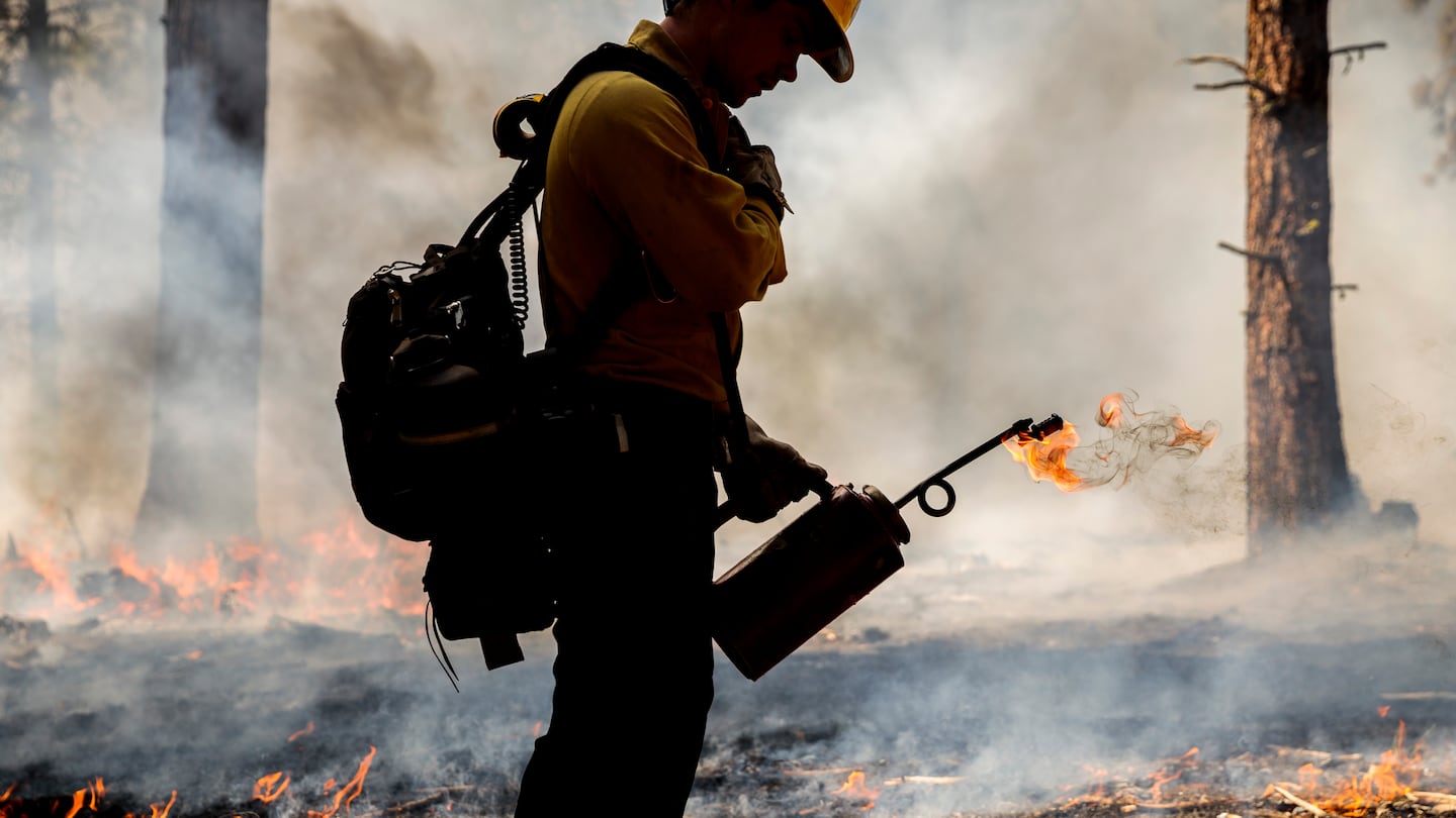 Michael McKinnon, a National Forest Service firefighter, used a drip torch during a prescribed burn in Altyras, Calif., in 2021.