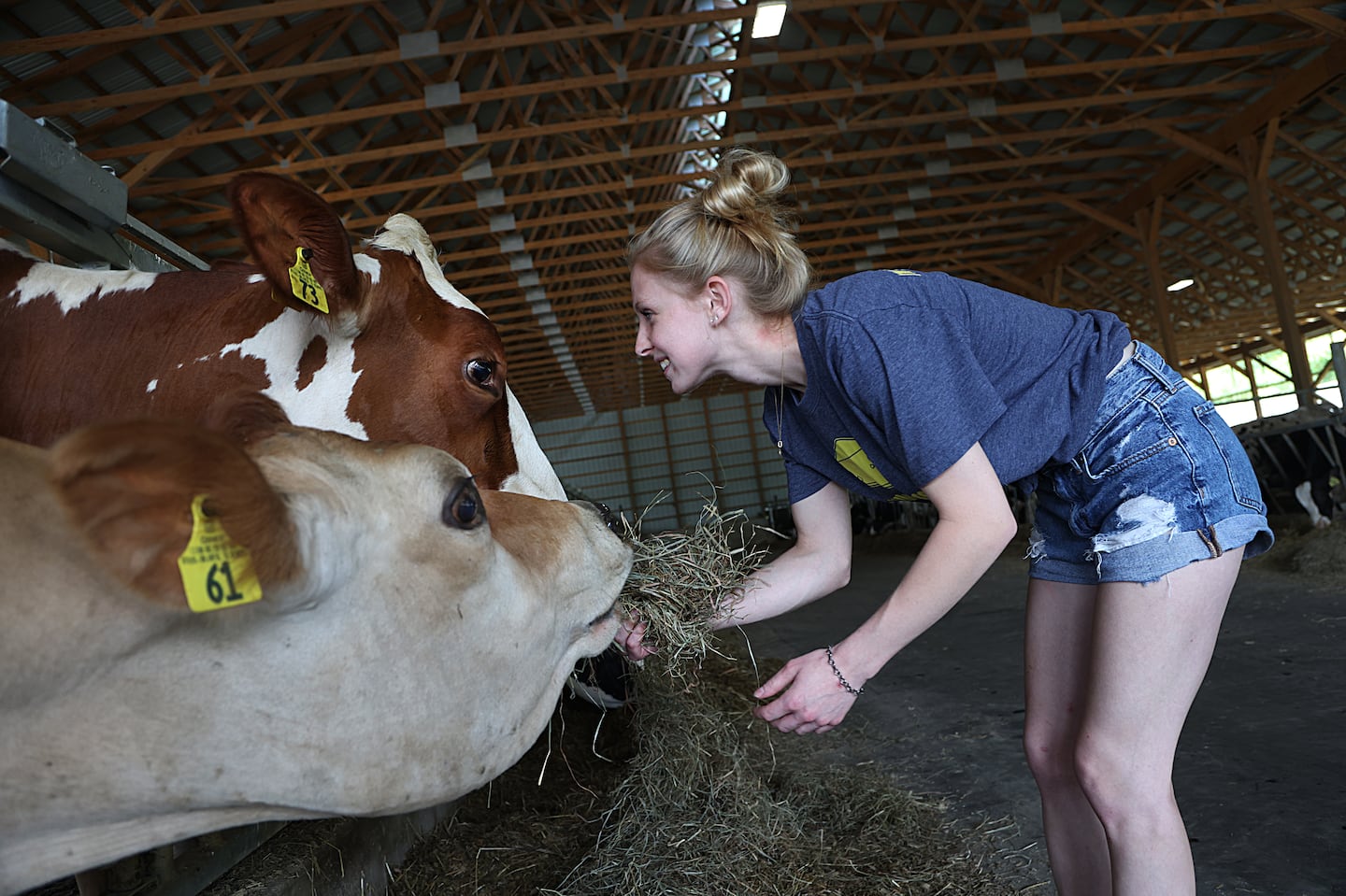 Grace Peckham with some of the cows at her family dairy farm, Elm Farm, in Connecticut.