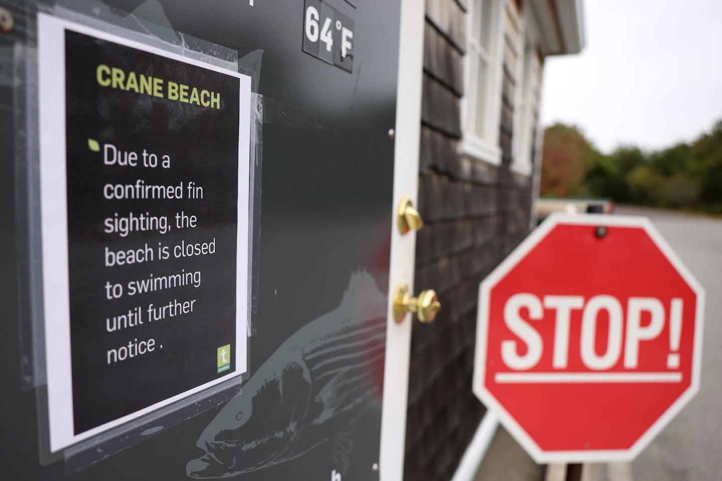 A sign posted on the guard shack leading to Crane Beach tells visitors that the beach has been closed to swimming after “a confirmed fin sighting” last week.