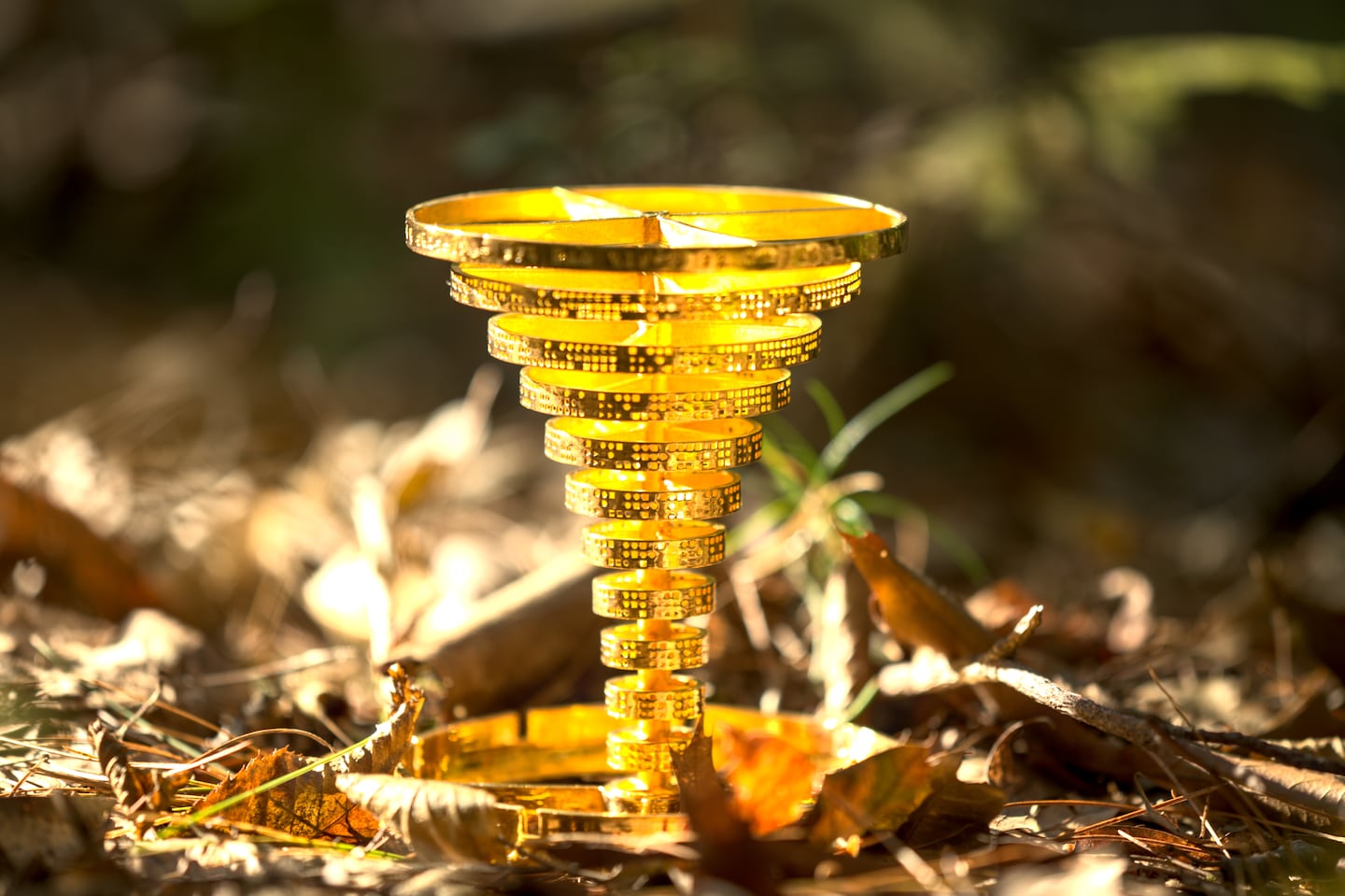 A $25,000 gold statue hidden in the woods by a N.H. video game designer.