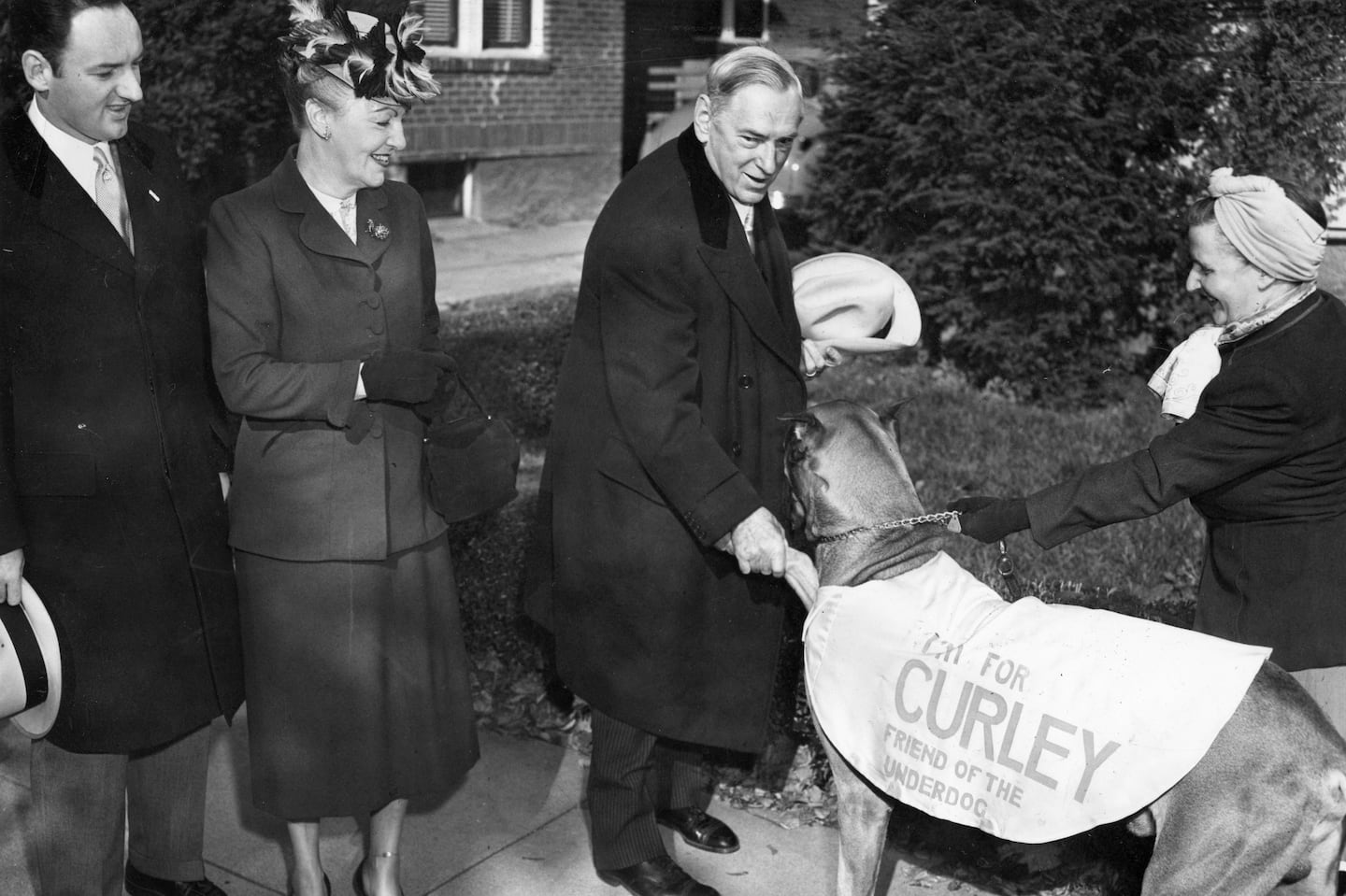 Mayor James Michael Curley shook the paw of Thor, a 4-year-old Great Dane, as he campaigned unsuccessfully for reelection in 1949 after serving five months in federal prison in 1947.