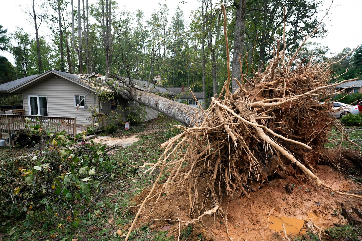 A fallen tree on a home in the aftermath of Hurricane Helene on September 28, 2024 in Asheville, North Carolina.