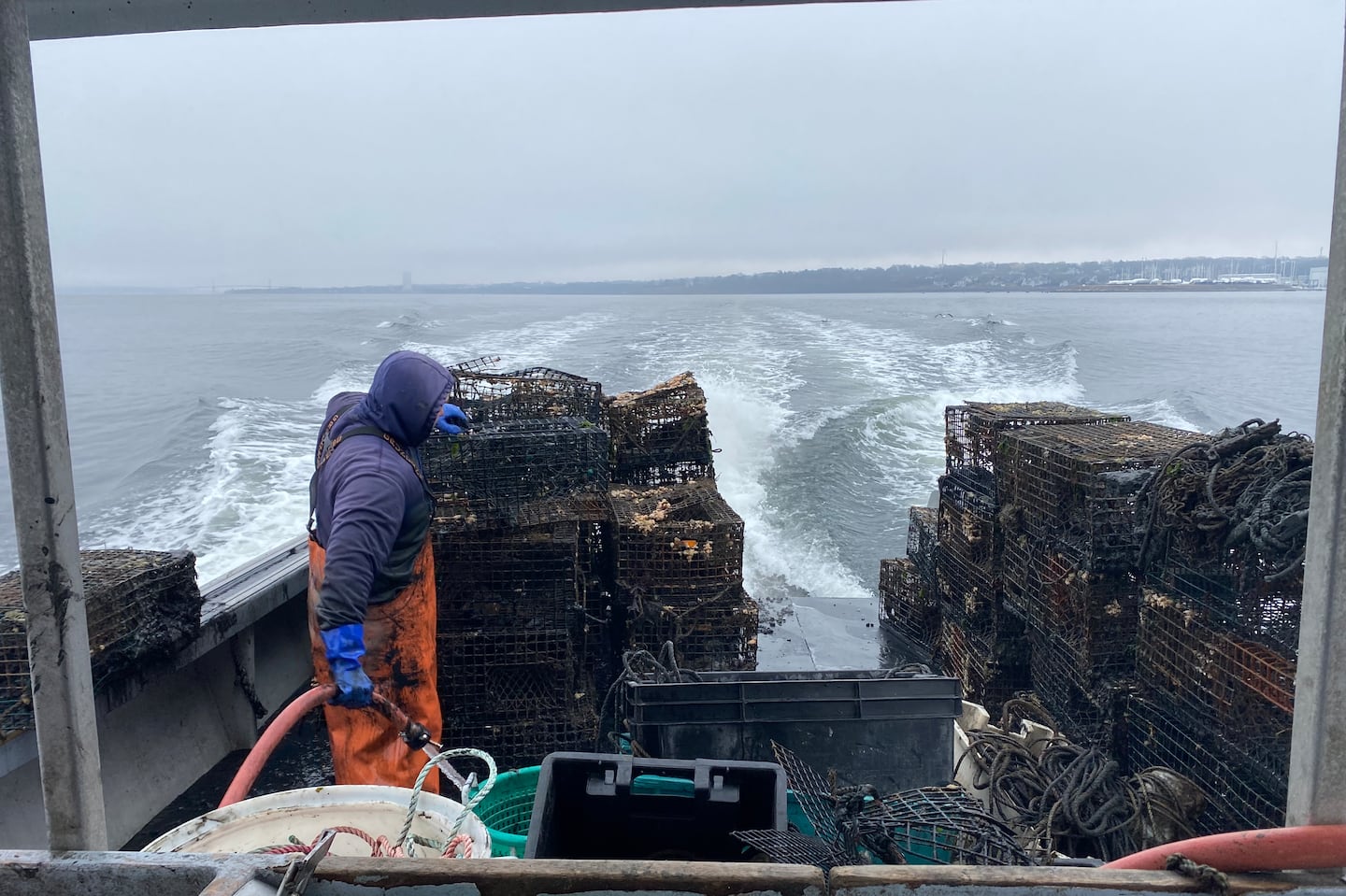 The Commercial Fisheries Research Foundation, based in Kingston, R.I., has worked with state and federal agencies to pull in more than 10,000 pounds of ghost gear and marine pollution from Narraganset Bay in the past two years, according to the foundation's executive director David Bethoney.