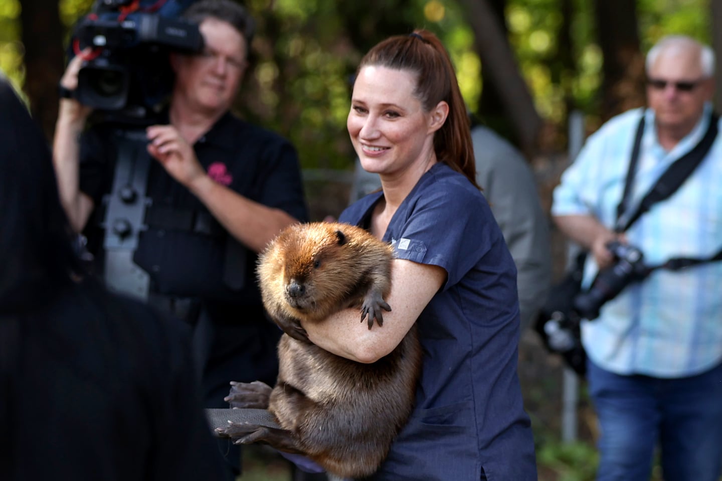 Jane Newhouse of the non profit  Newhouse Wild Life Rescue holds Nibi the Beaver during a tour with Massachusetts Governor Maura Healey at the facility.