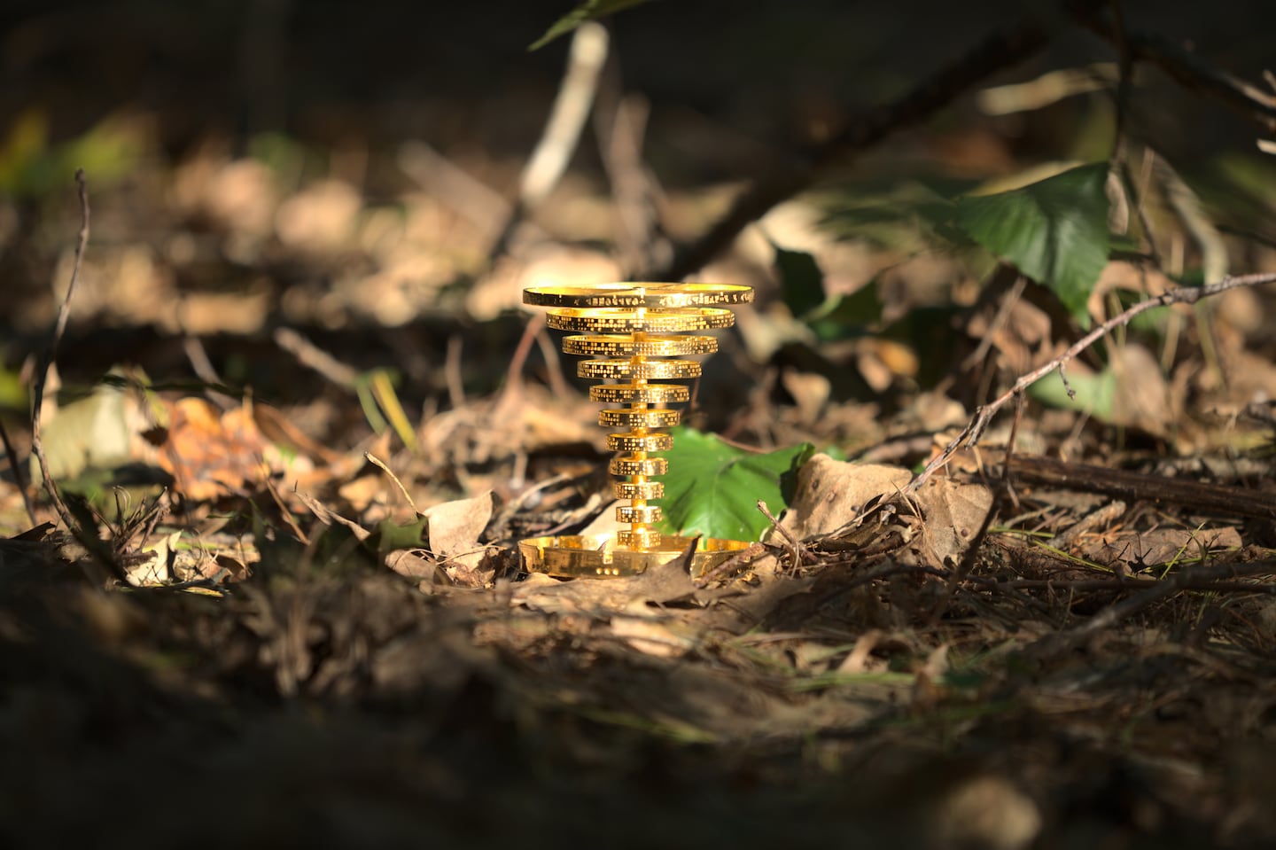 A $26,000 gold statue was hidden in the woods of a Western Massachusetts state forest by a N.H. video game designer.