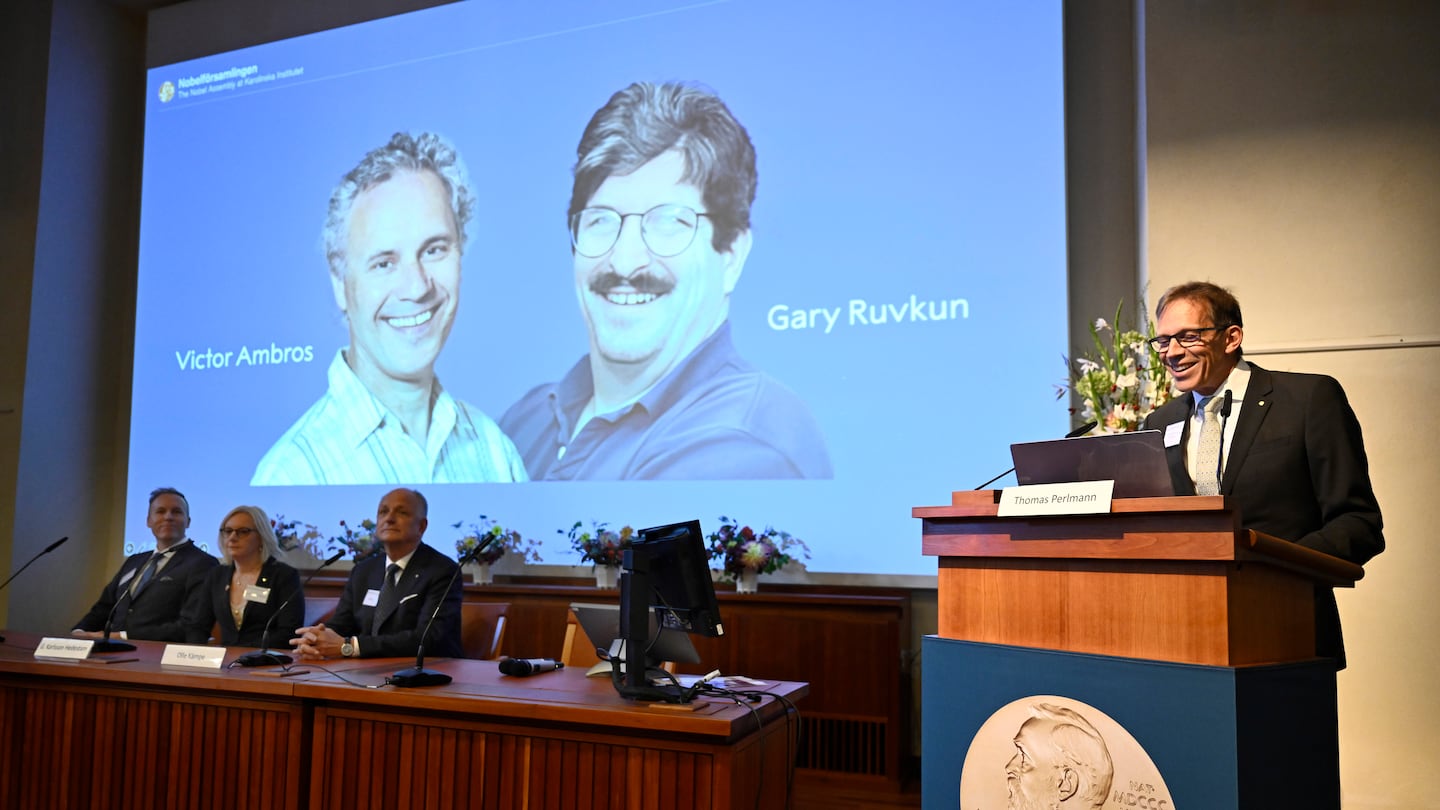 Nobel Committee chairman Thomas Perlmann, right, announced Americans Victor Ambros, left, and Gary Ruvkun, seen on a screen being awarded this year's Nobel Prize in Physiology or Medicine, during a press conference at the Karolinska Institute in Stockholm, Sweden, on Monday.