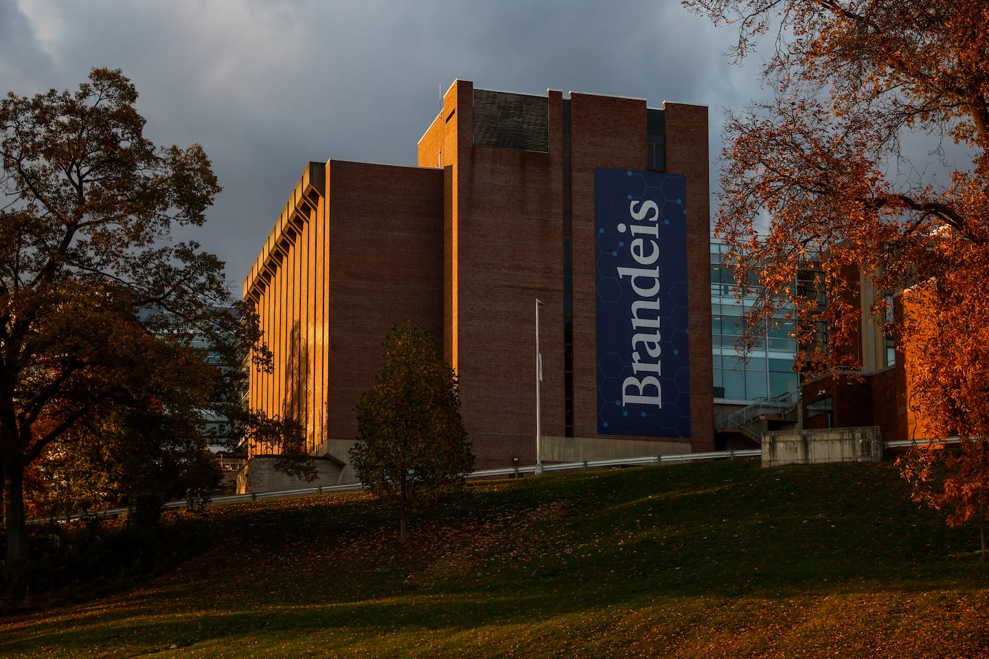 Brandeis University’s national ranking, which helps it attract international students who pay full tuition, has dropped precipitously.