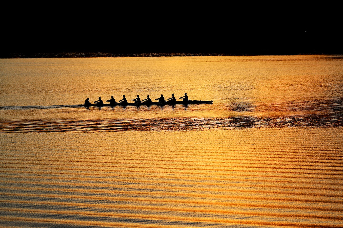 Rowers warm up for the Head of the Charles Regatta last year.