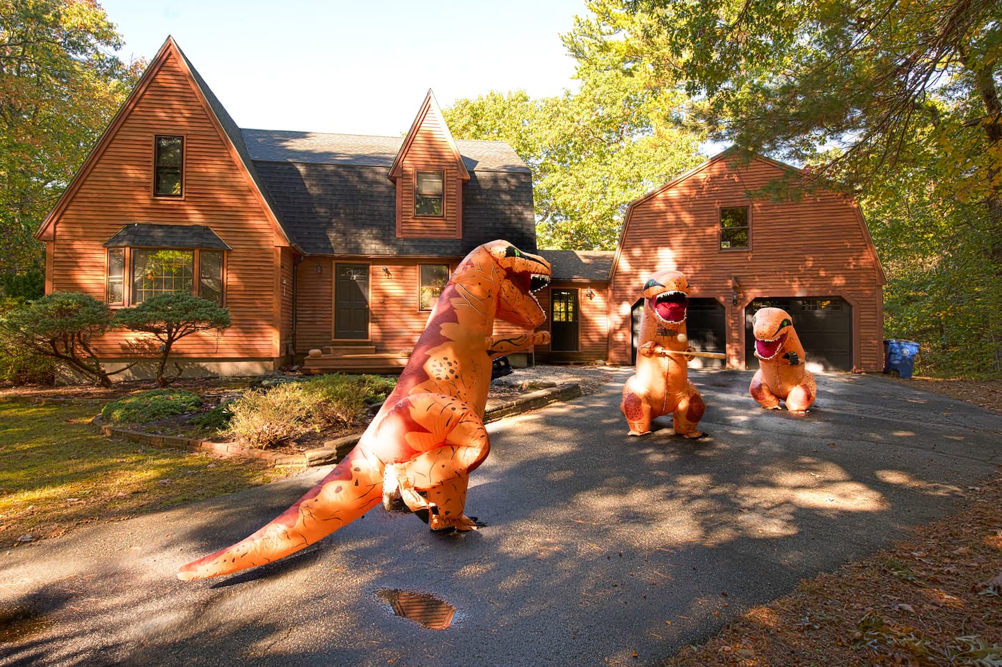 A New Hampshire realtor went viral for his dinosaur staging initiative.