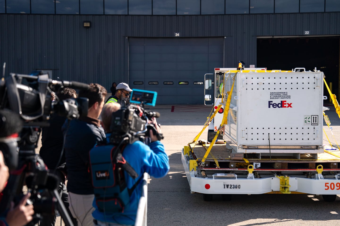 Members of the media watched as the Giant Pandas arrived in Dulles, Va. 