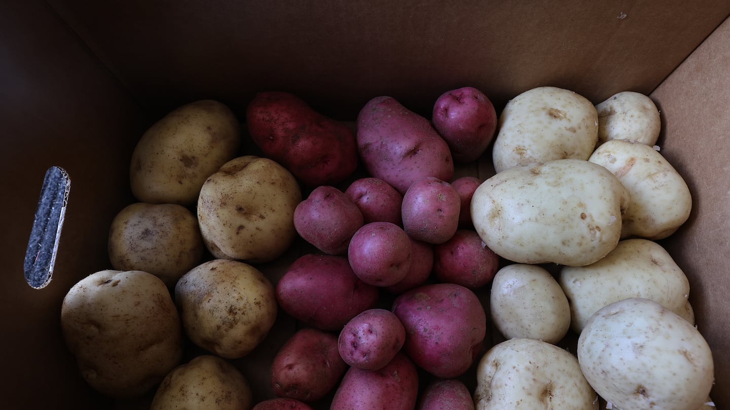 At Szawlowski Potato Farms, a box of yellow, red and white potatoes.