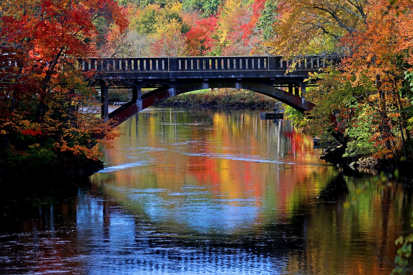 A spot of color is seen on the North River in Pembroke this fall.