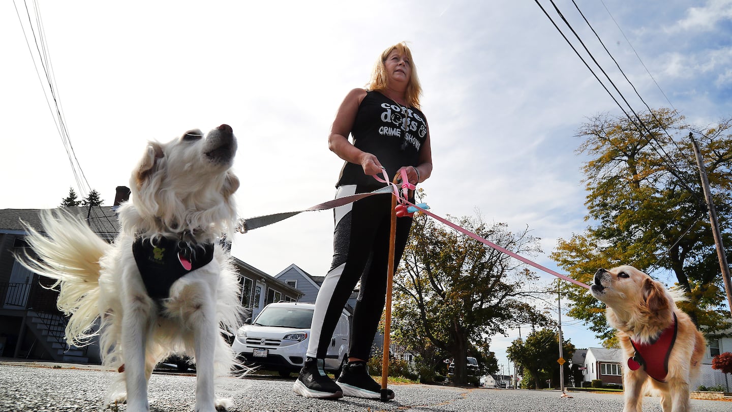 Amid recent coyote attacks, Ann Arsenault is taking no chances walking her dogs, Bunny and Bailey.