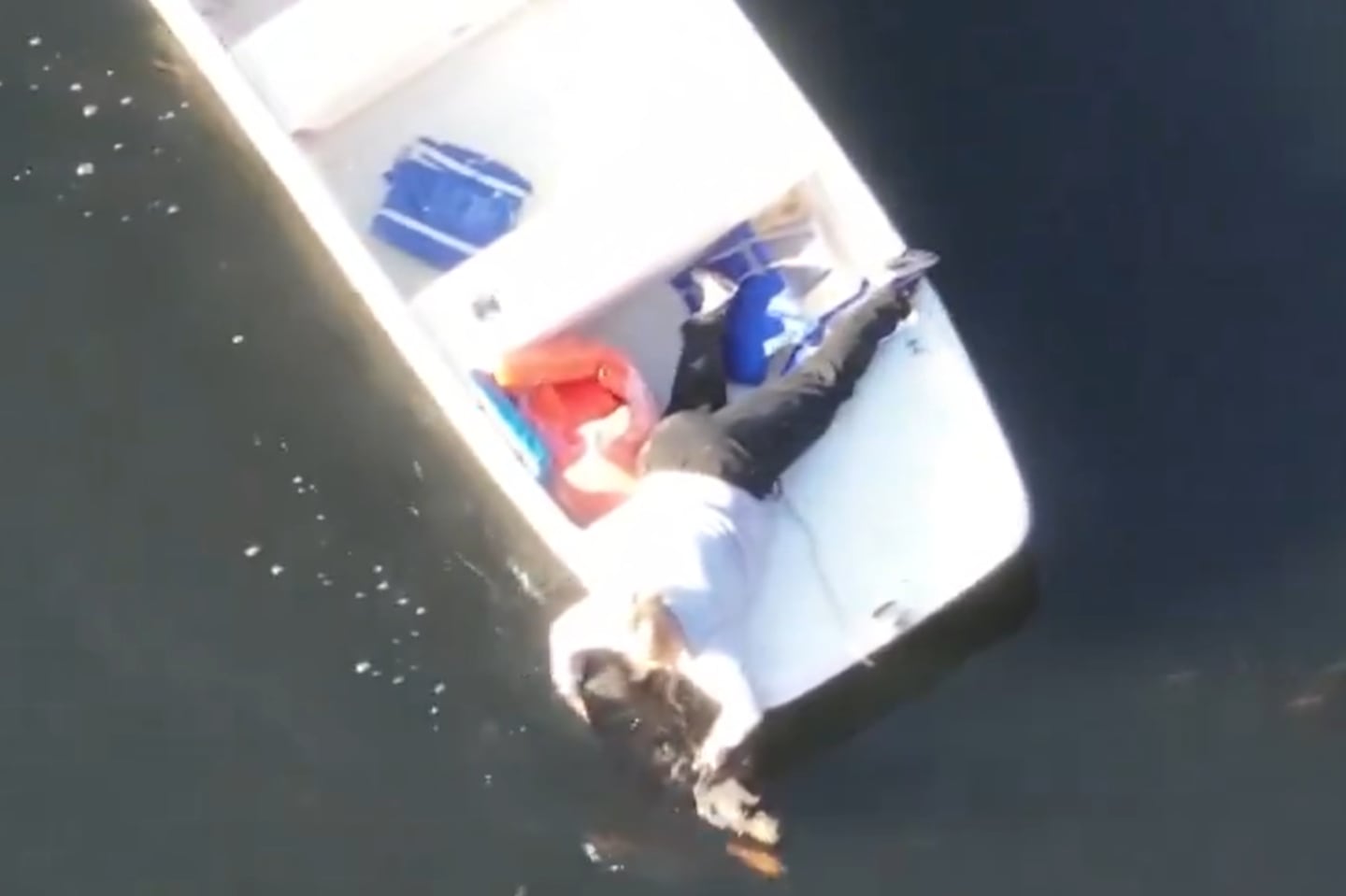 A screenshot taken from drone video over Lake Waban shows a person on a boat holding onto the dog as it swam back to land.