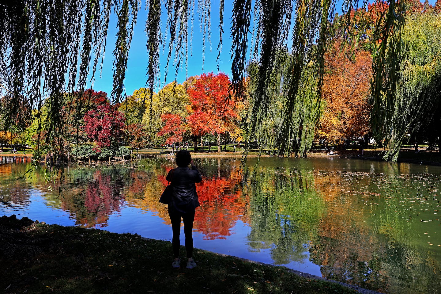 A woman stops to take a quick photograph with her phone during a walk in the Boston Public Garden on Tuesday.