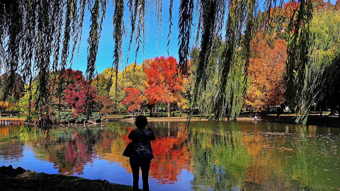 A woman stops to take a quick photograph with her phone during a walk in the Boston Public Garden on Tuesday.