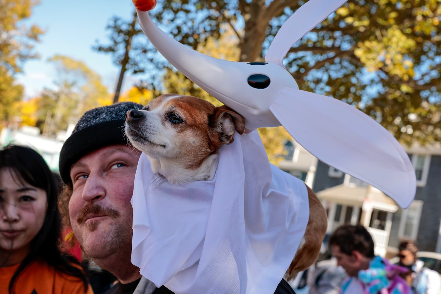 Matt Sandofsky dressed his dog as Zero from the 1993 stop-motion Disney film "The Nightmare Before Christmas" during the 20th annual Jamaica Plain Canine Costume Parade.