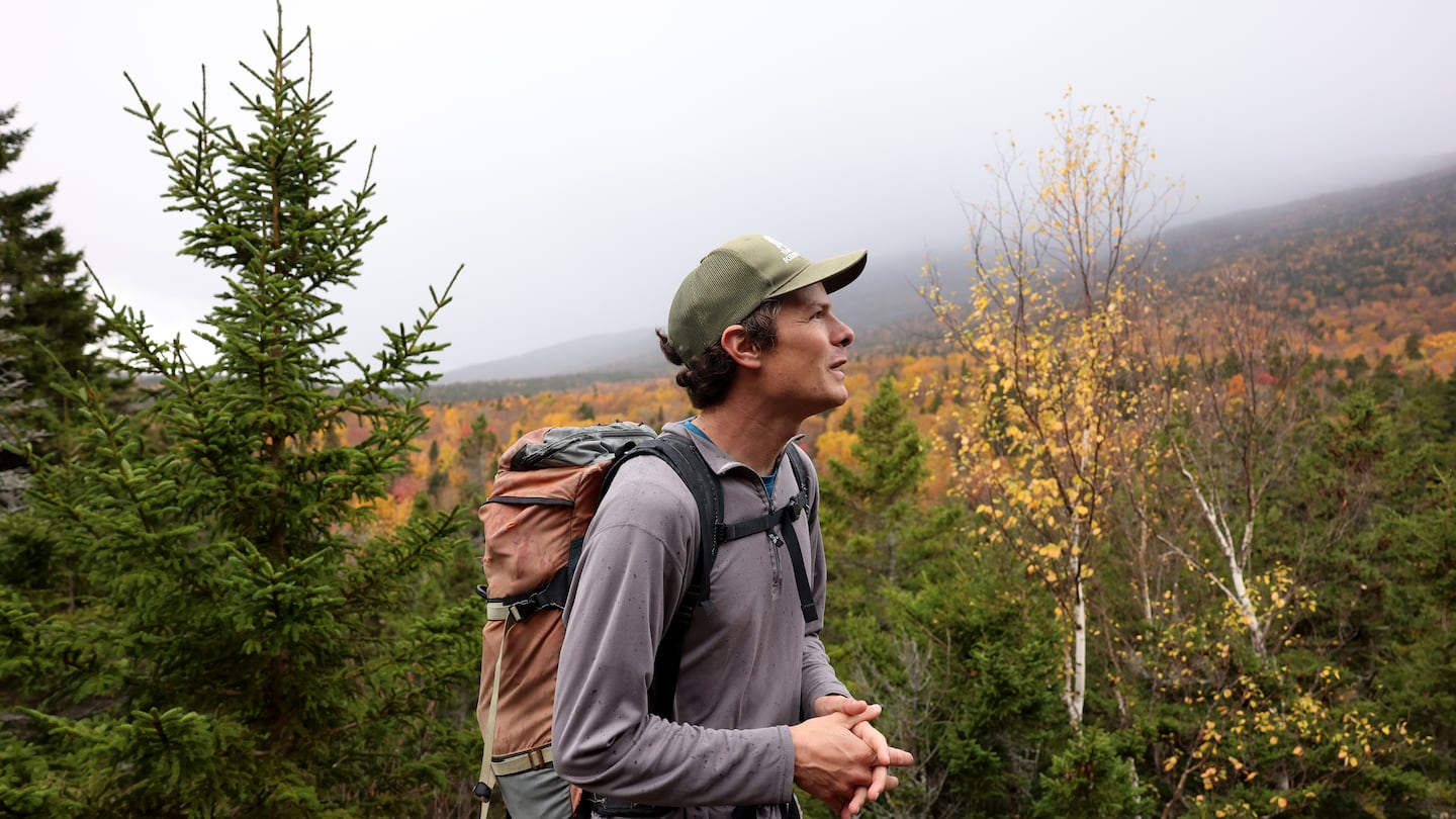 Zack Porter, executive director of Standing Trees, hiked a lookout above the parcel of land in the White Mountain National Forest that will likely be logged. His nonprofit sued the US Forest Service to try to stop the logging project.