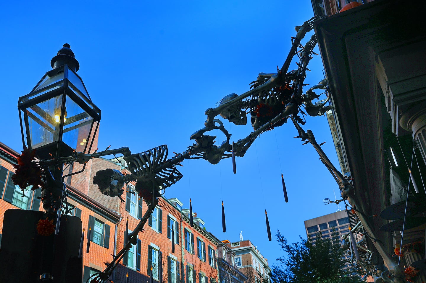 A couple of skeletons hung above a doorway in Beacon Hill on Monday.