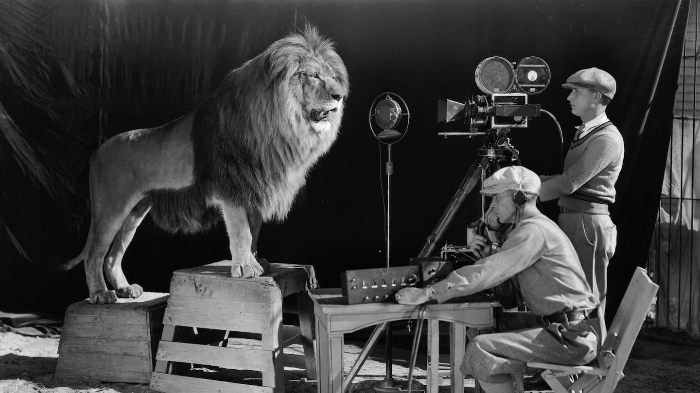 A cameraman and a sound technician record the roar of Leo the Lion for MGM's famous movie logo. The footage was first used on MGM's first talking picture "White Shadows in the South Seas."