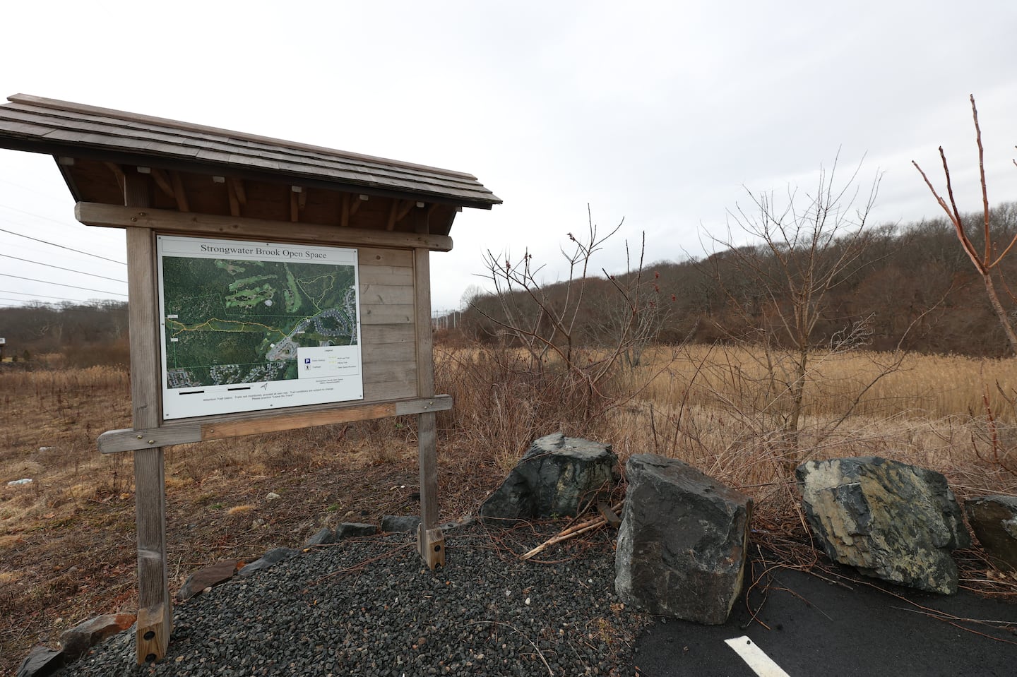 The edge of a plot of land on Peabody's border with Salem that the city purchased last year to prevent housing development.