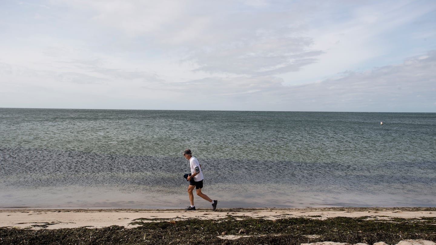 A runner on Cape Cod in September 2023. According to a new report, Massachusetts’ marine ecosystems will face a hotter, harsher future as climate change warms ocean temperatures.