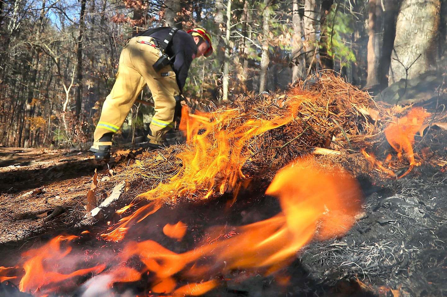 Sharon firefighter Kurt Simpson put out hot spots on a trail as firefighters were still on the scene of a fire in the Blue Hills.