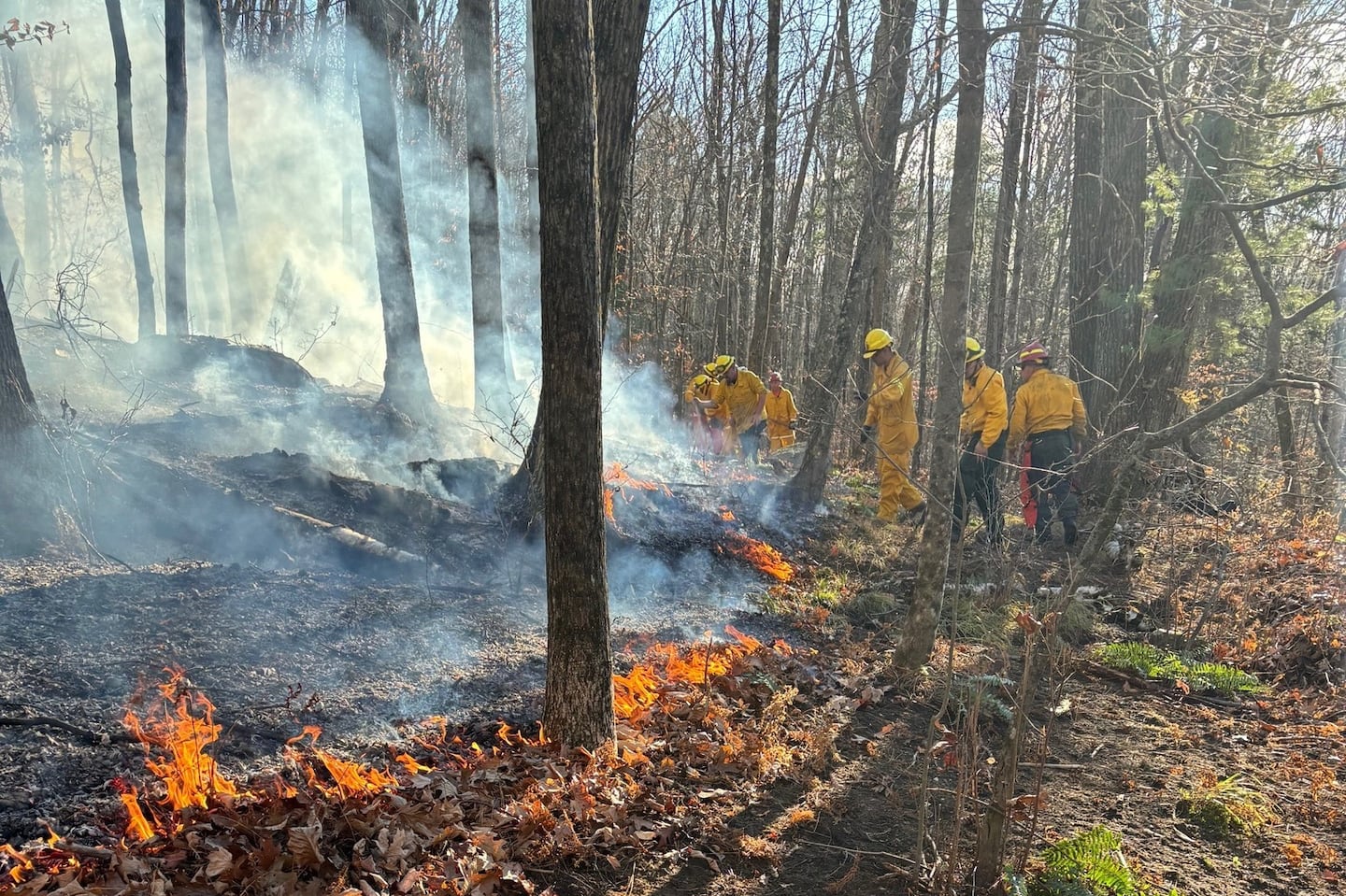 Fire crews battle the brush fire in Great Barrington.