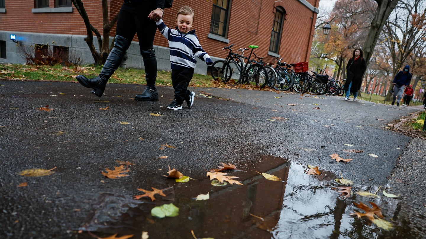 A toddler stares at a puddle while walking on the Harvard University campus on Thursday. New England saw up to 2 inches of ran on Thursday after going weeks without any significant precipitation, leading to severe drought conditions in Massachusetts and in parts of Rhode Island and Connecticut.