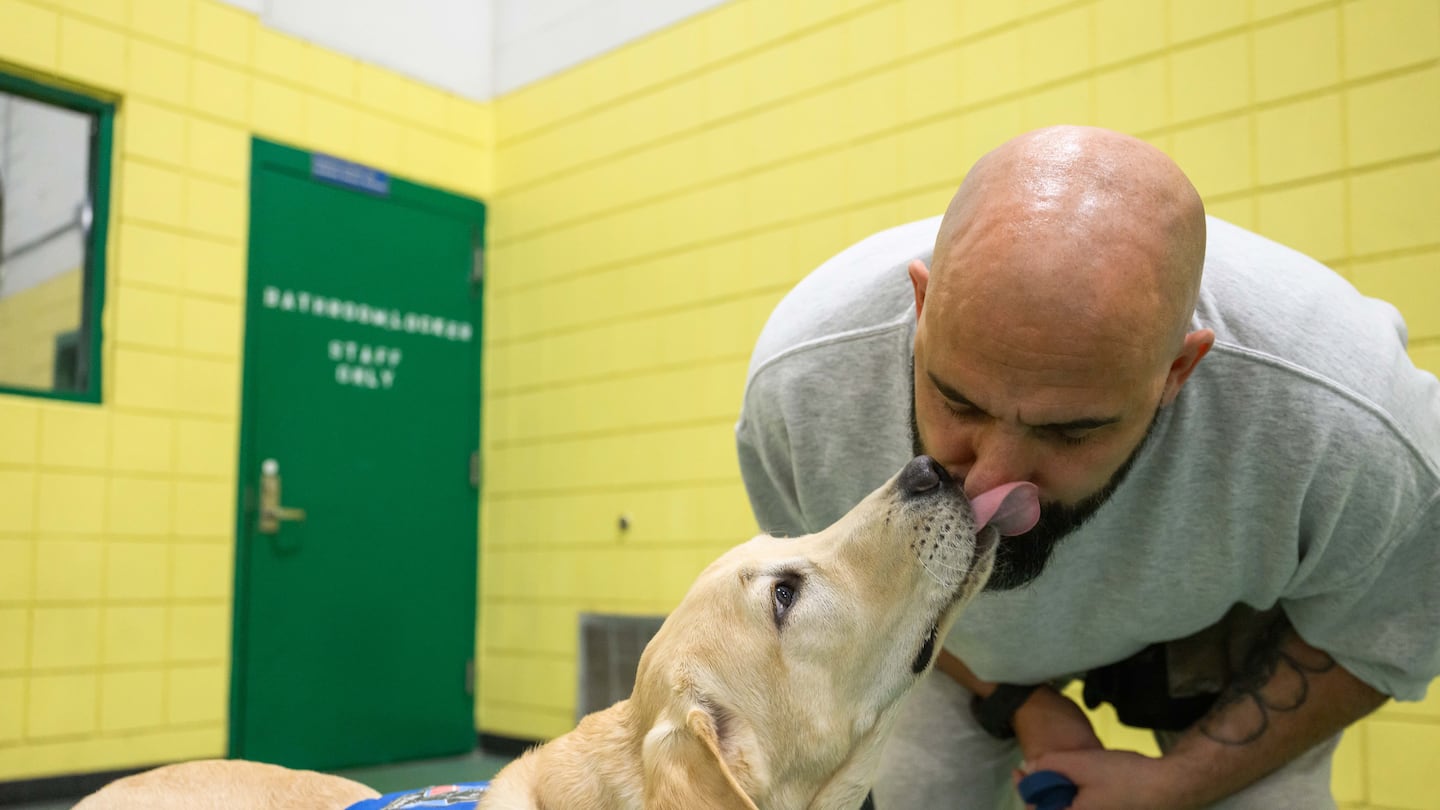 Derick Kaplinger, who is incarcerated, is licked by service dog trainee Sumner.