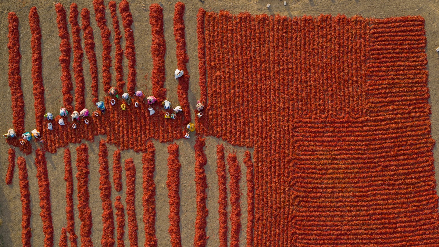 George Steinmetz, "Day laborers sort red chilies that have been dried in the scorching sun of a 30-acre family farm near Guntur, Andhra Pradesh, in the heart of India’s chili country."