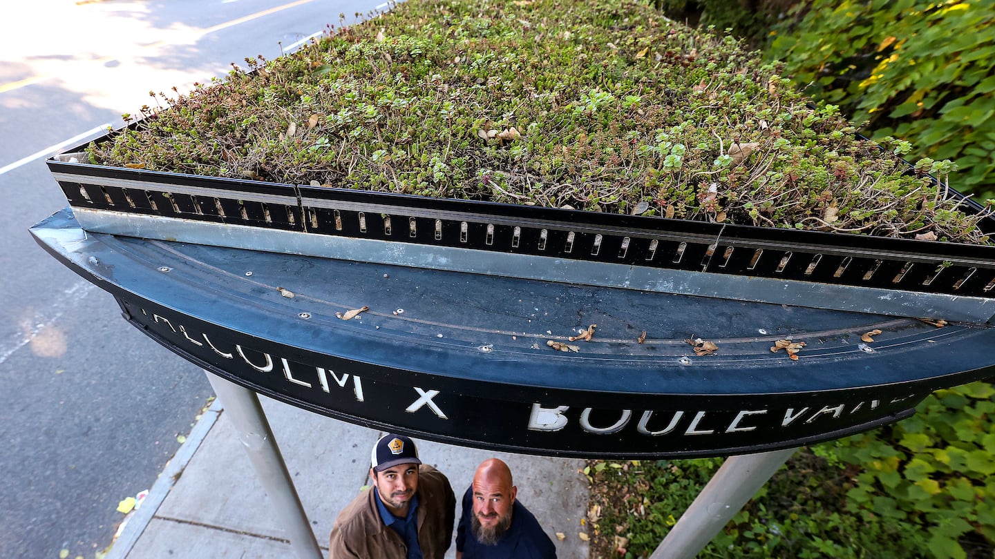 Michael Chavez, principal and co-founder of the Social Impact Collective and Trevor Smith, Weston Nurseries' design and education manager, looked up.