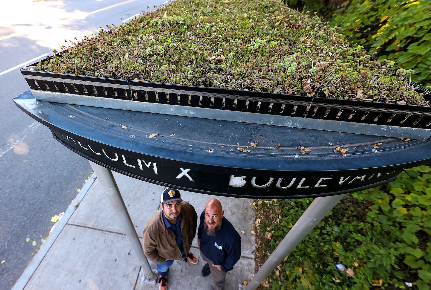 Michael Chavez, principal and co-founder of the Social Impact Collective and Trevor Smith, Weston Nurseries' design and education manager, looked up.