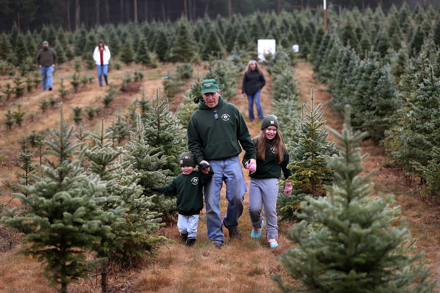 Rodney W. Phillips, a retired software engineer who runs "Grandpa's Farm" in Loudon, N.H., walked the farm with family members, including grandchildren Reid Phillips, 2, and Reagan Phillips, 7. Grandpa's Farm sells blueberries in the summer and Christmas trees in the winter.