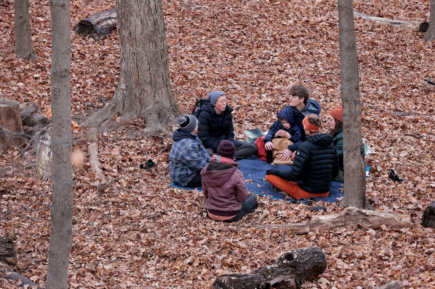 Members of Boston-Area Singing Circles participated in a sunrise singing circle in Arnold Arboretum last month.