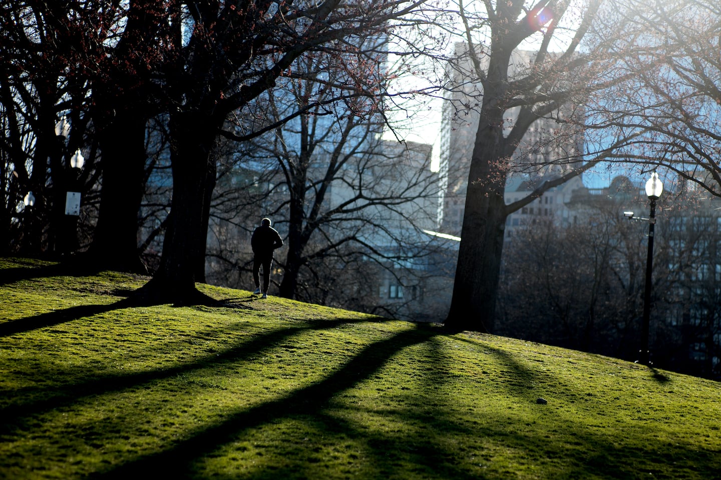 A pedestrian in the shadows of the morning light on Boston Common.