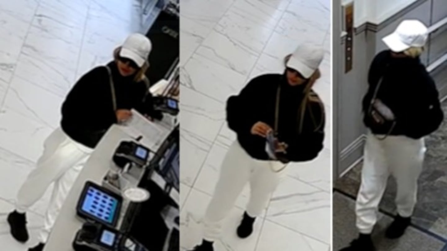 Boston police are seeking help to identify a suspect who stole approximately $250,000 worth of jewelry in Back Bay.