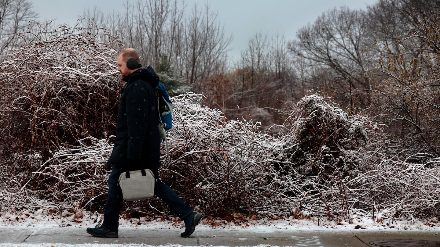 A pedestrian walked past snow-covered vegetation on East St. in Dedham on Thursday.