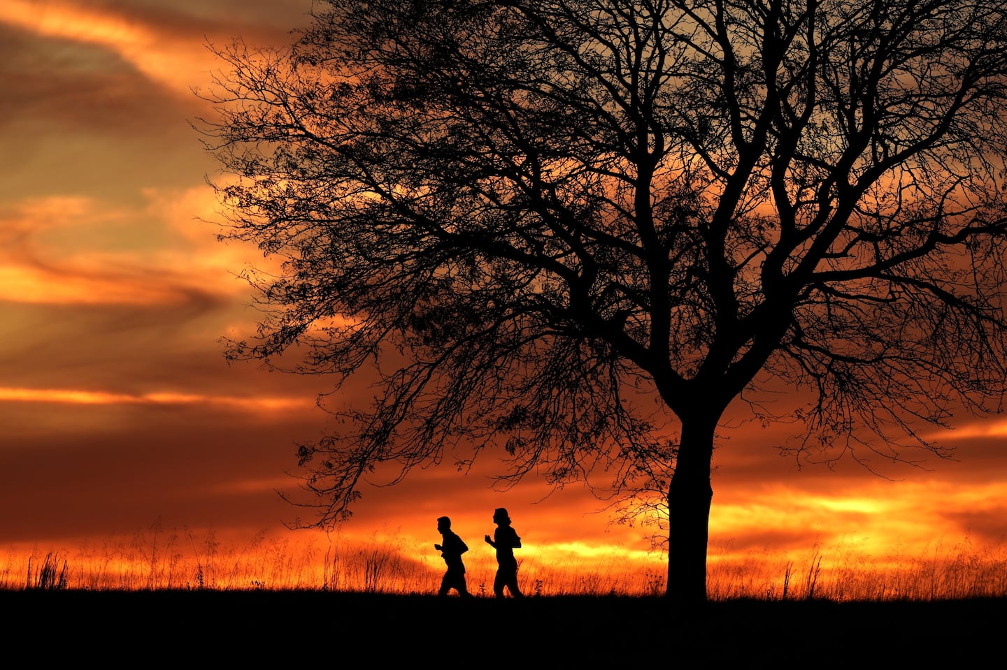 People are silhouetted against the sky at sunset as they run in a park, Nov. 12, in Shawnee, Kan.