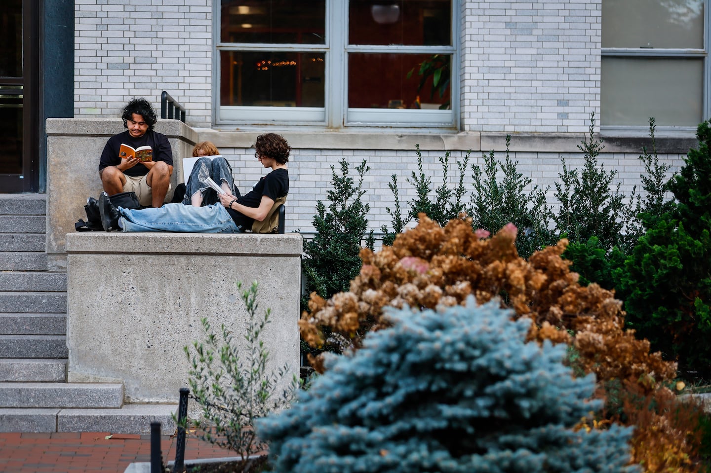 Students study on Northeastern University’s campus on Nov. 6.