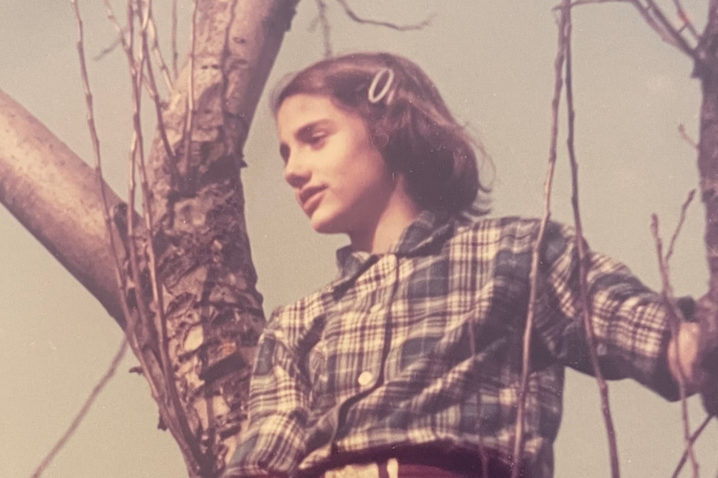 The author, age 12, in a favorite apple tree.