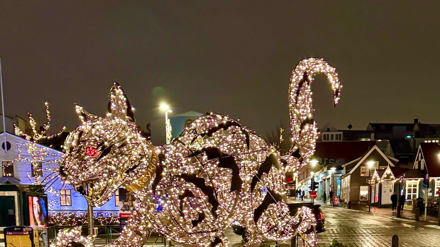 A sculpture of Jólakötturinn, the Icelandic yule cat, lights Reykjavik's city center. According to Icelandic folklore, Jólakötturinn eats children who do not have new clothes at Christmas.