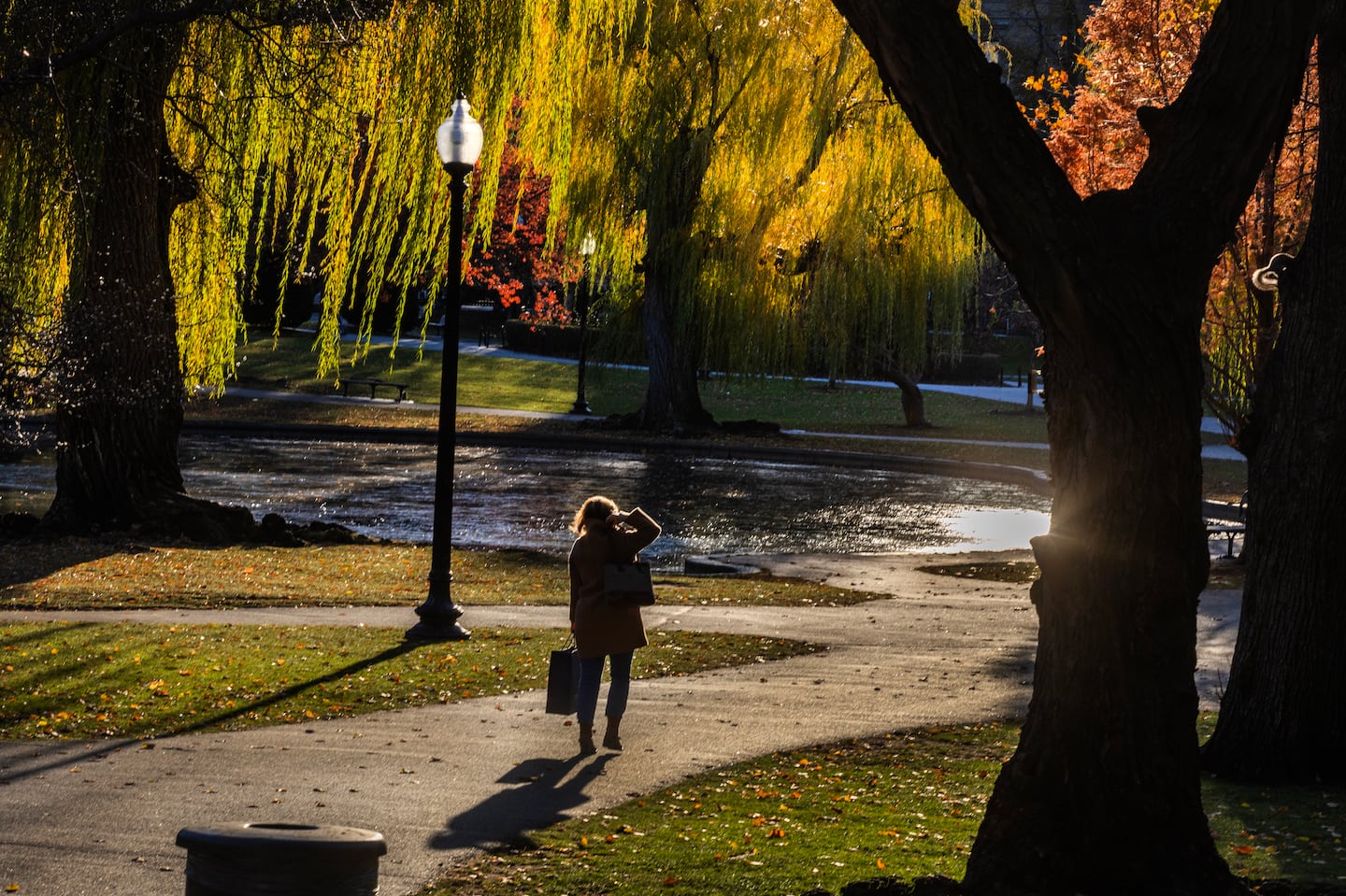 A woman walked through the Public Garden in Boston as the last of the afternoon sun skimmed the trees. The sunset in Boston will be 4:11 p.m. until Tuesday, when it sets at 4:12, starting a turn toward later sunsets.