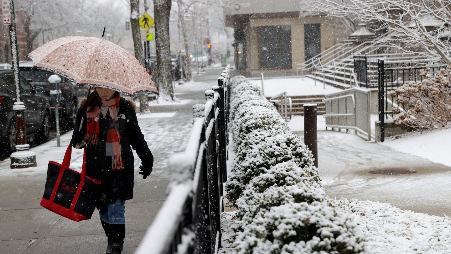 Morning snow falls on Harvard Street in Brookline on Friday.