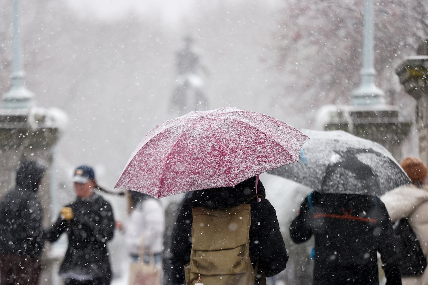 The snow falls on pedestrians in the Public Garden in Boston on Friday.